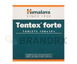 Tentex Forte Himalaya
